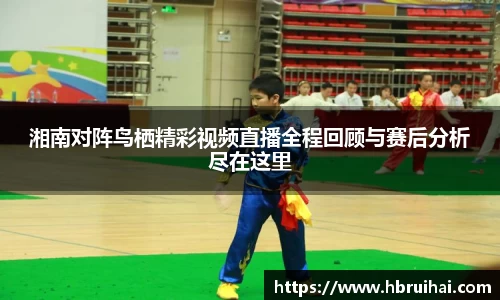 湘南对阵鸟栖精彩视频直播全程回顾与赛后分析尽在这里