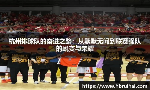 杭州排球队的奋进之路：从默默无闻到联赛强队的蜕变与荣耀